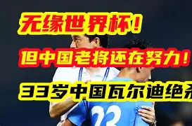 阿维斯取得绝杀进球,战胜对手取胜是哪一集