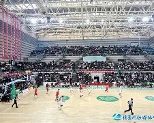 博彩资讯网-青海队翻盘逆袭,打破比赛僵局视频